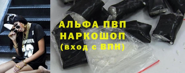 PSILOCYBIN Тайга