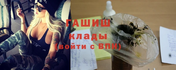 PSILOCYBIN Тайга