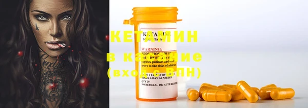 PSILOCYBIN Тайга