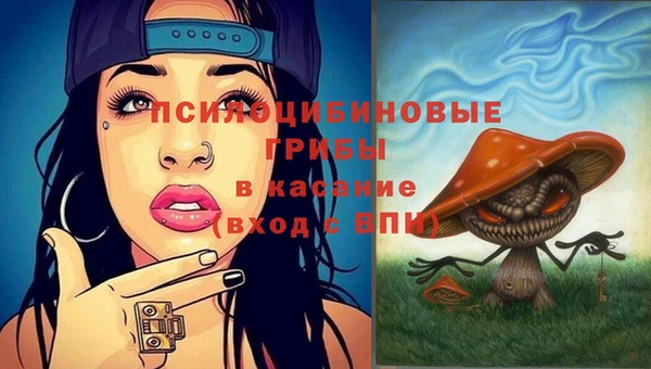 PSILOCYBIN Тайга