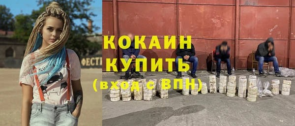PSILOCYBIN Тайга
