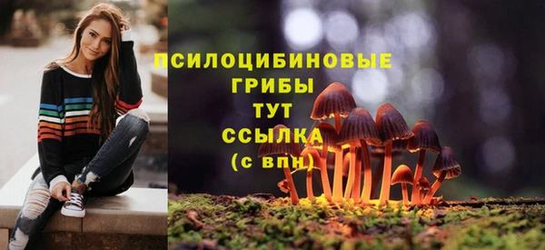 mdpv Заречный