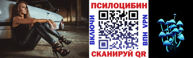 хочу наркоту  Благодарный  Галлюциногенные грибы Magic Shrooms 