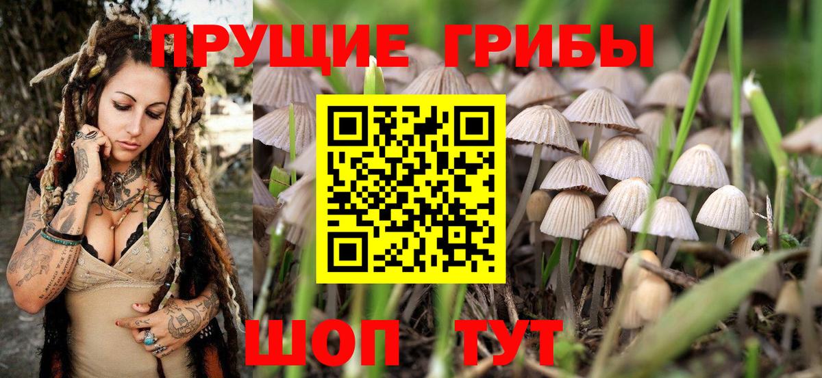 Благодарный  Псилоцибиновые грибы мицелий  Вход с VPN 