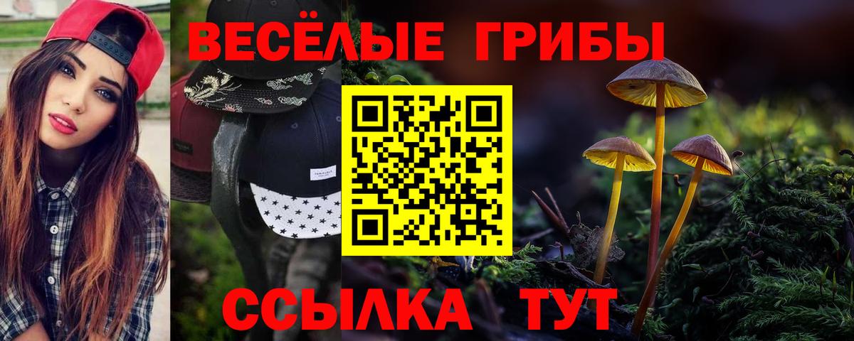 Псилоцибиновые грибы Cubensis Благодарный