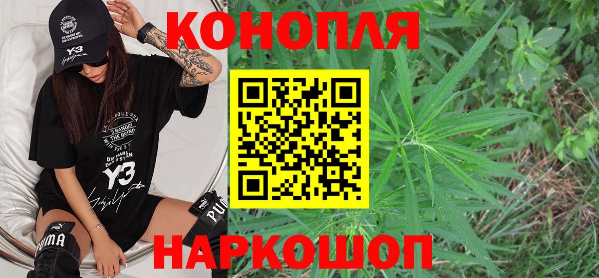 Бошки Шишки тримм Благодарный